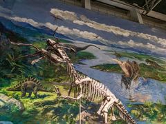 -自贡恐龙博物馆