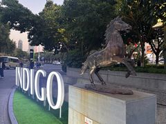 -厦门海港英迪格酒店(中山路店)