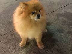 -正兴广场(人民中路店)