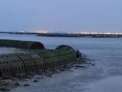 -南汇嘴观海公园