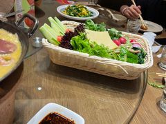 -鸽子窝(青塔店)