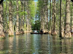 -渌洋湖湿地公园