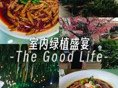 -君临七星生态酒店