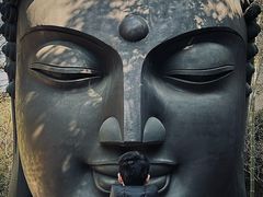 -杭州植物园