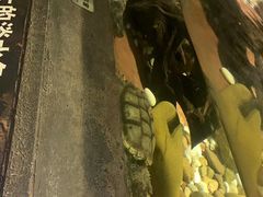 -皇家极地海洋世界-售票处