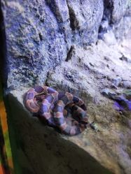 -酷嗒动物文化乐园(cutezoo西溪乐天城店)