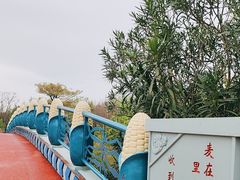 -上海长兴岛郊野公园