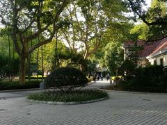 -徐家汇源景区-衡山公园