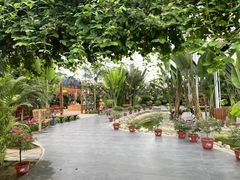 -兴芮温泉度假区