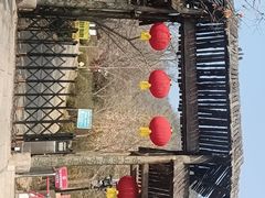 -遵化市禅林寺古银杏风景园