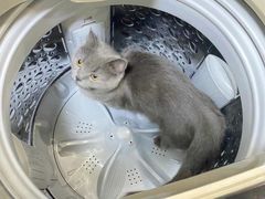 -瑞派宠物医院·中兽医专科(中央商城分院)