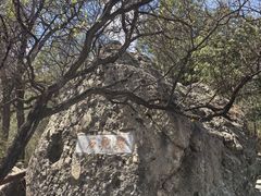 -阳台山自然风景区