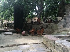 -扬美古镇景区