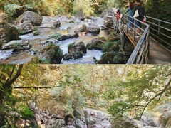 -龙苍沟森林公园