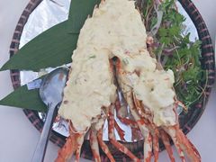 -越海渔村