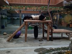 -西安秦岭野生动物园