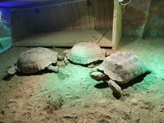 -太奥幻太奇海洋馆