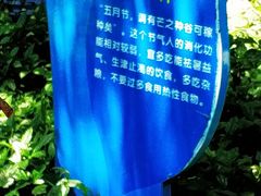 -狐尾山公园