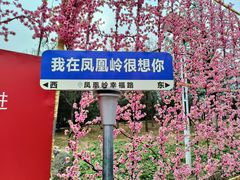 -北京凤凰岭