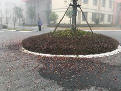 -万达茂商场(南京仙林店)