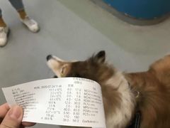 -贝利宠物医院·骨科·眼科·肿瘤转诊中心(南坪诊疗中心)