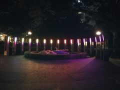 -九龙公园