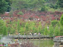 -广州市帽峰山景区