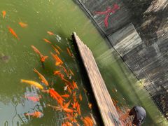 -千岛湖东南湖区