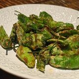 在国贸！一百块能喝几杯精酿