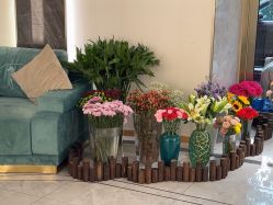 -雅曼妮spa美容养生