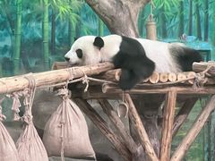 -灵玲国际马戏城