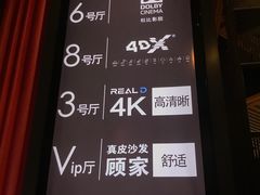 -万达影城(闵行颛桥万达广场杜比影院店)