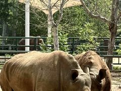 -秦皇岛野生动物园