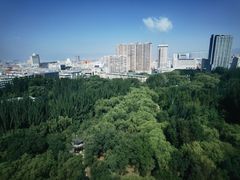 -青城公园
