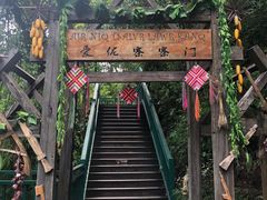 -西双版纳原始森林公园