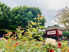 -宝墨园景区