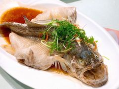 清蒸鲈鱼-周锦记广式餐厅