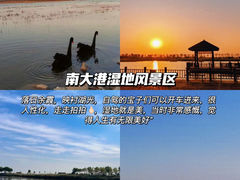 -吴桥杂技大世界