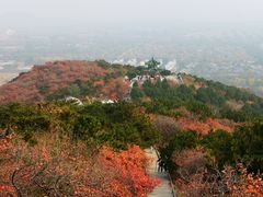 -北京西山国家森林公园