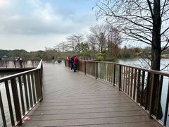 -海珠湖公园