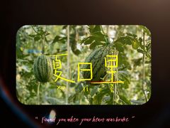 -庞各庄西瓜蔬菜采摘园·锦华瓜园