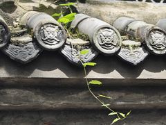 -丰都鬼城名山景区