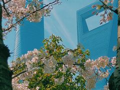 -南浦大桥长途旅游客运站