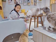 -藏猫猫咖啡主题馆(中央大道店)