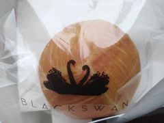 -BLACKSWAN黑天鹅(环球店)