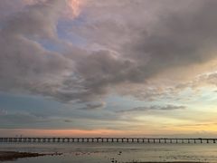 -宝安西湾红树林湿地公园