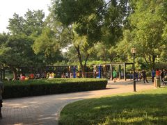 -玲珑塔公园
