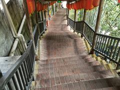 -鲤鱼塘农家山庄