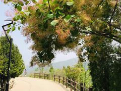 -府君山公园