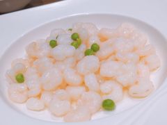 -乔家栅(襄阳南路店)